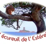 L'ecureuil De L'estérel 4*
