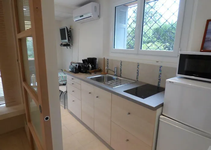 L'ecureuil De L'esterel