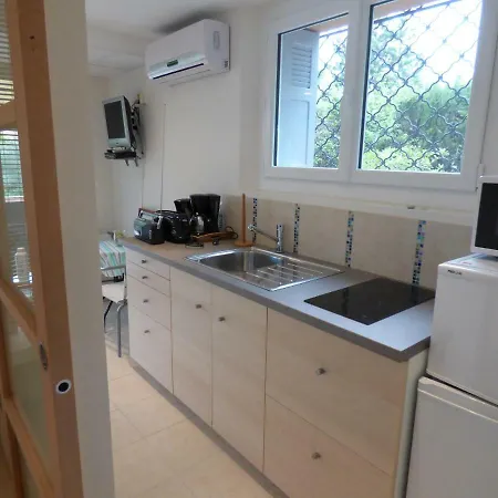 L'ecureuil De L'esterel