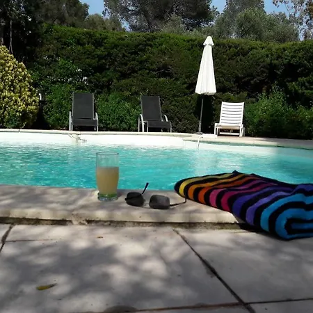 L'ecureuil De L'esterel