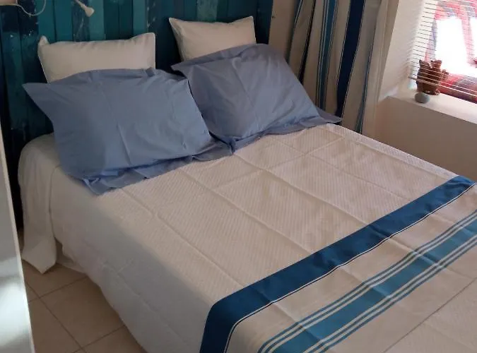 L'ecureuil De L'esterel Saint-Raphaël