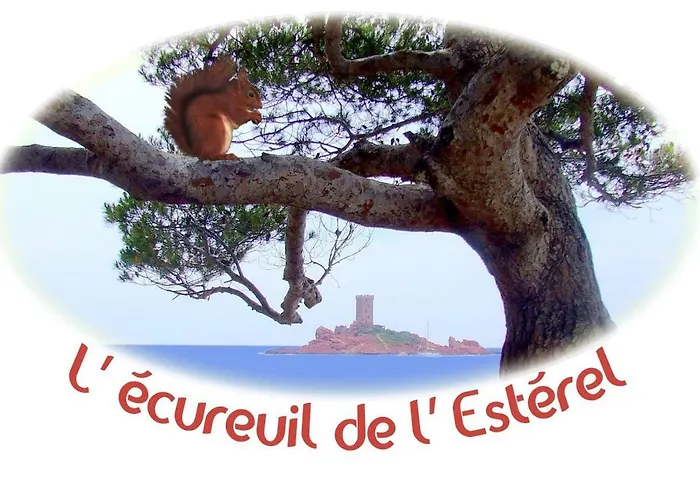 L'ecureuil De L'estérel 4*