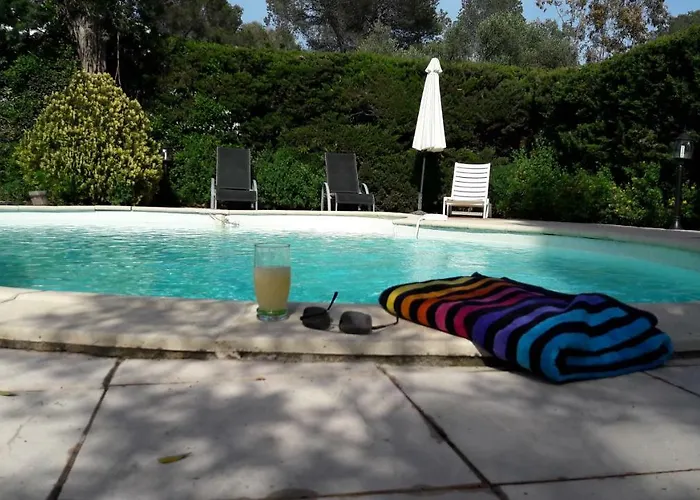 L'ecureuil De L'esterel